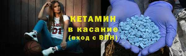 прущие грибы Каменка