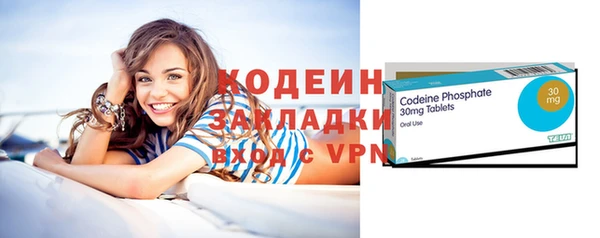 индика Киреевск