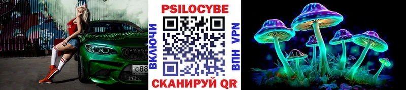 Псилоцибиновые грибы прущие грибы  Петров Вал 